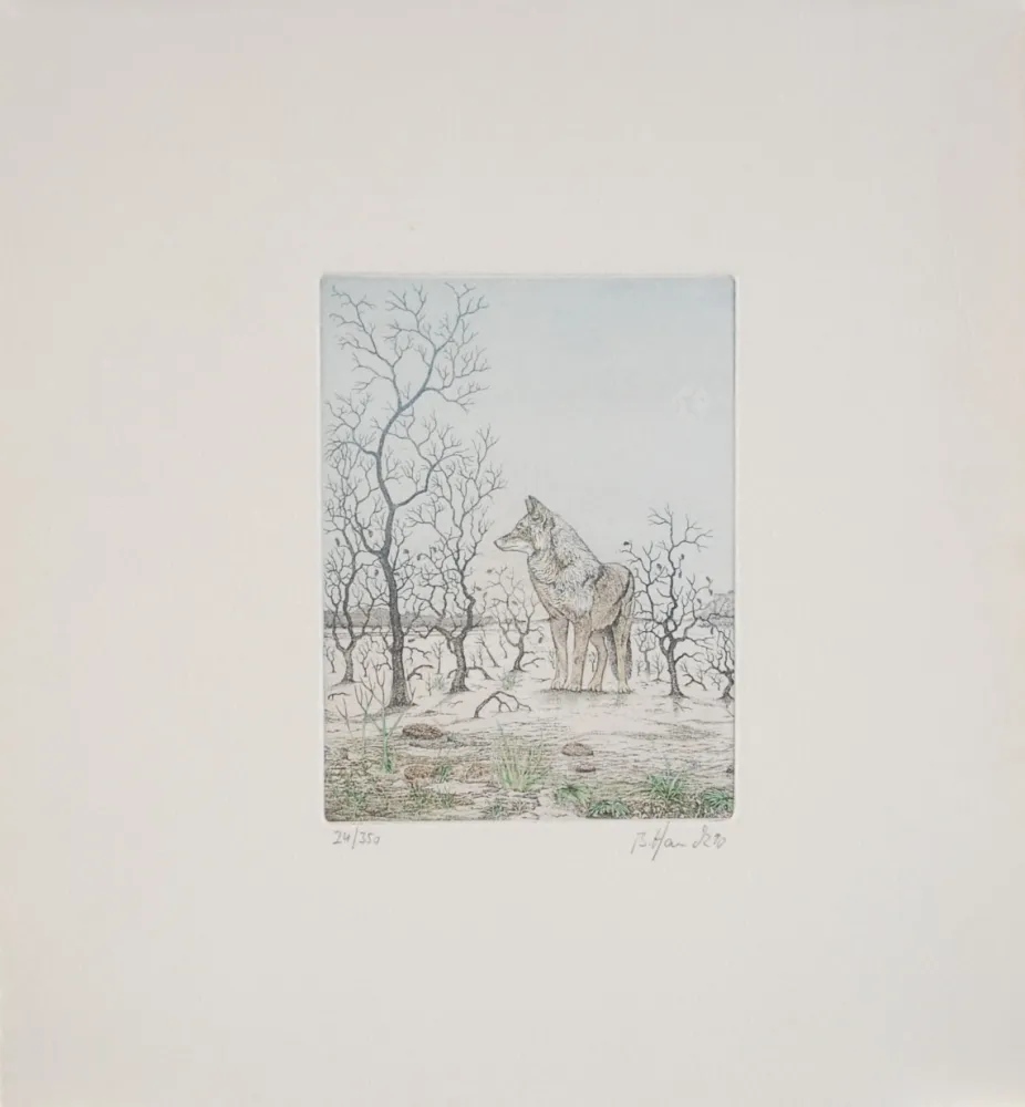 Офорт Hauck - Loup - Wolf