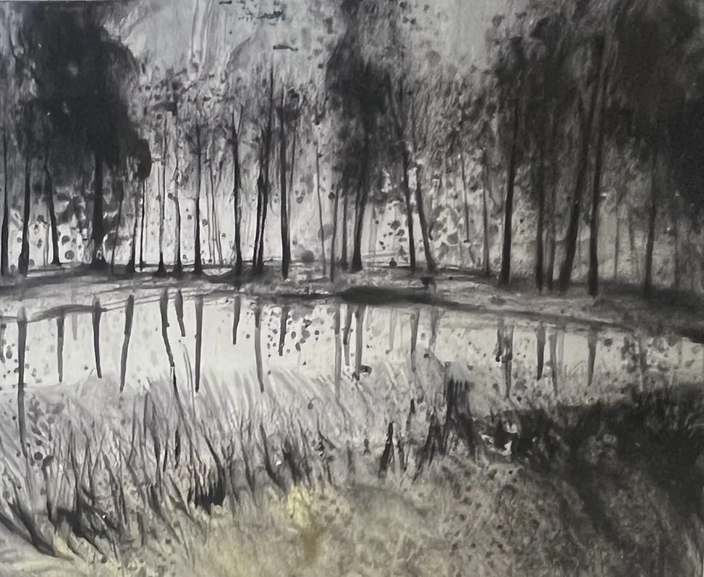 Нет Никаких Технических Havaux - Grande Aquarelle sur papier signée Forêt