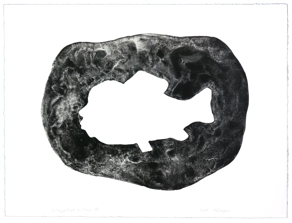 Литография Henin - Auportrait en carpe VIII