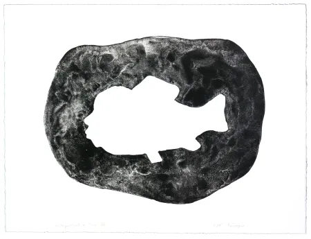 Литография Henin - Auportrait en carpe VIII