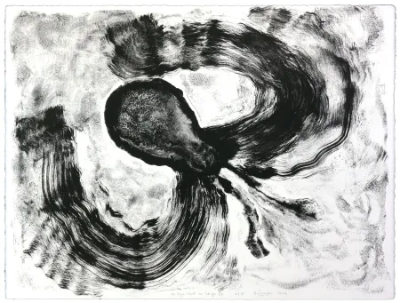 Литография Henin - Auportrait en carpe XI