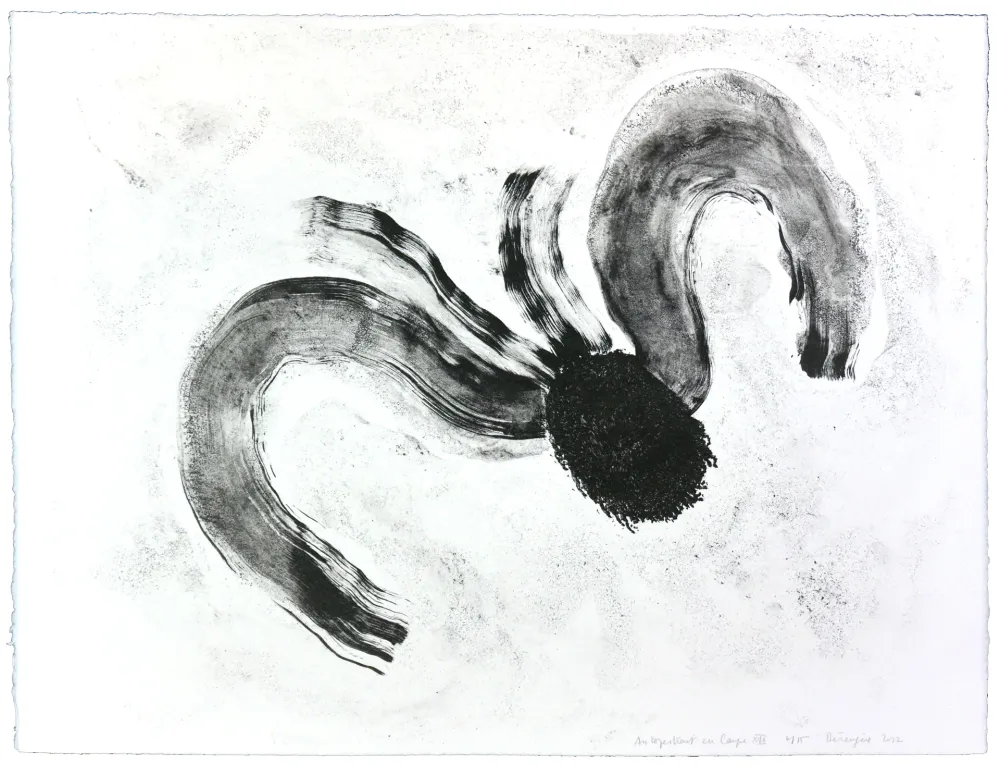 Литография Henin - Auportrait en carpe XII