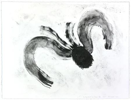 Литография Henin - Auportrait en carpe XII