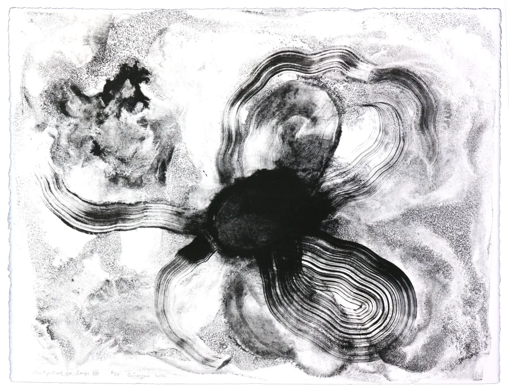 Литография Henin - Auportrait en carpe XIII