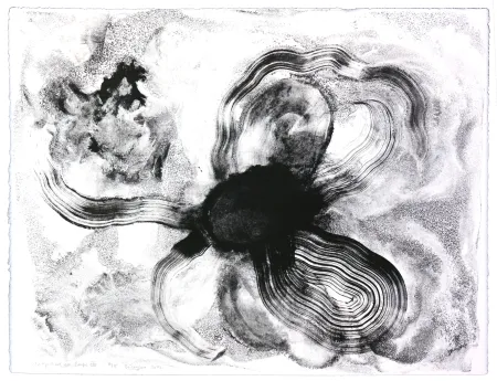 Литография Henin - Auportrait en carpe XIII