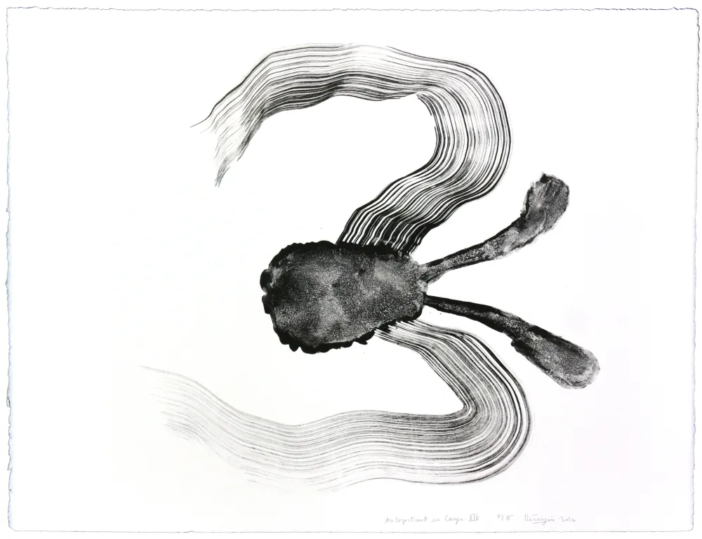 Литография Henin - Auportrait en carpe XIV