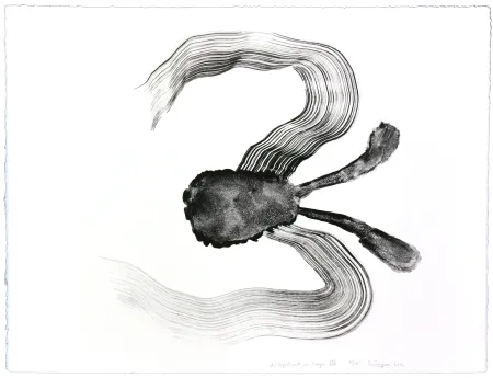 Литография Henin - Auportrait en carpe XIV