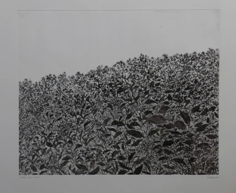 Офорт Henry - Sans titre