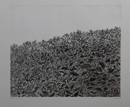 Офорт Henry - Sans titre