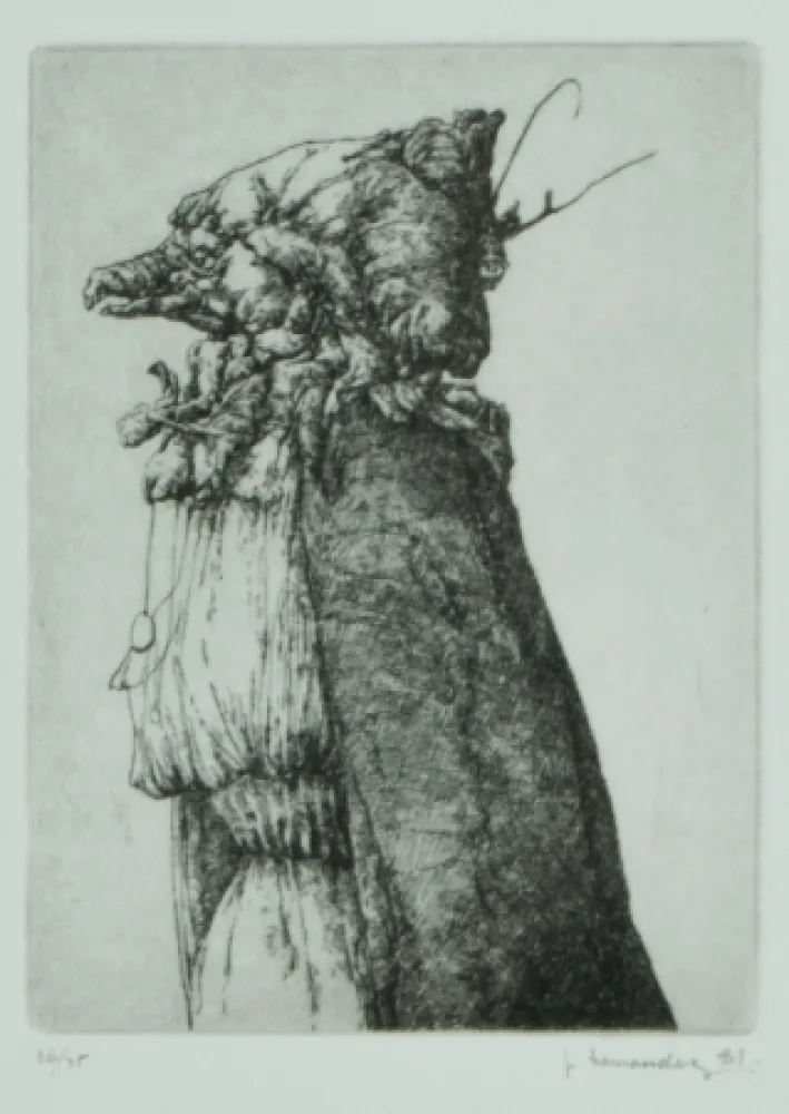 Гравюра Hernandez - Personaje