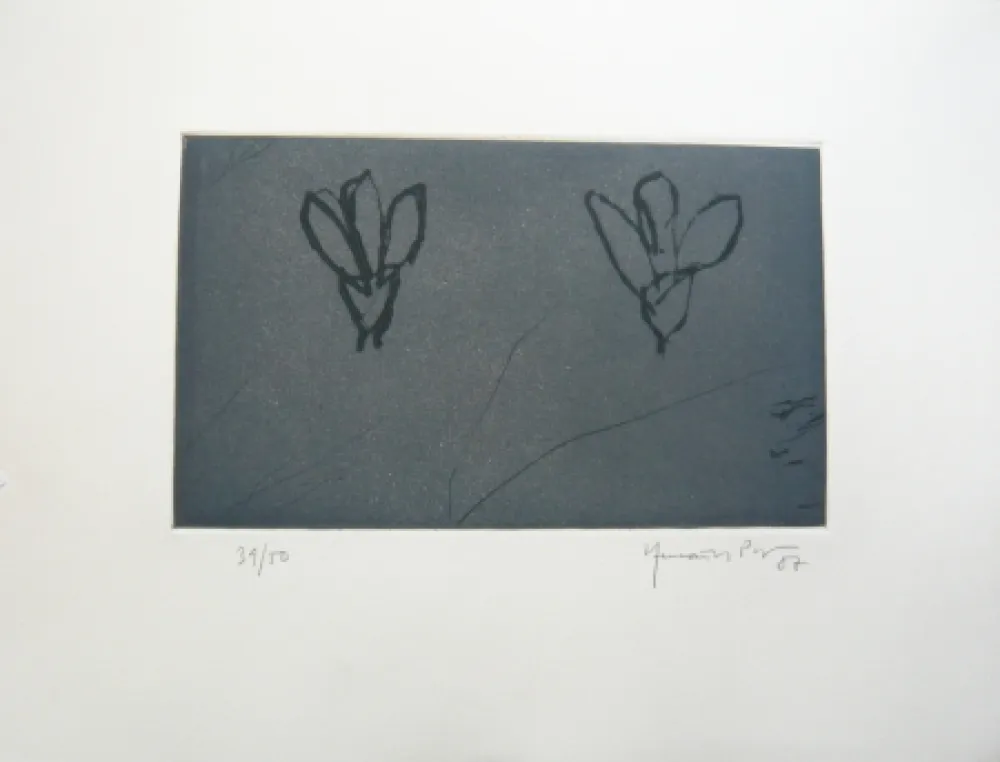 Многоэкземплярное Произведение Hernandez Pijuan - Flors sobre gris