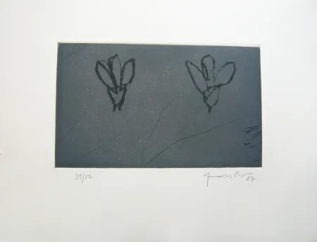 Многоэкземплярное Произведение Hernandez Pijuan - Flors sobre gris