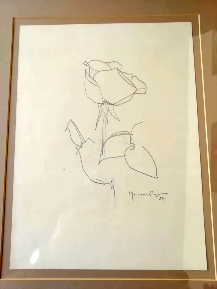 Нет Никаких Технических Hernandez Pijuan - La Rosa - 3