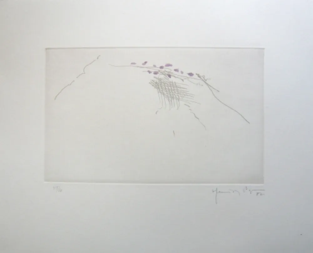 Гравюра Hernandez Pijuan - PJ8