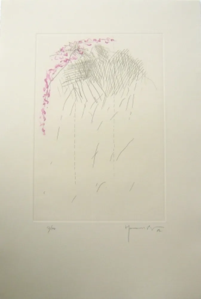 Гравюра Hernandez Pijuan - PL1