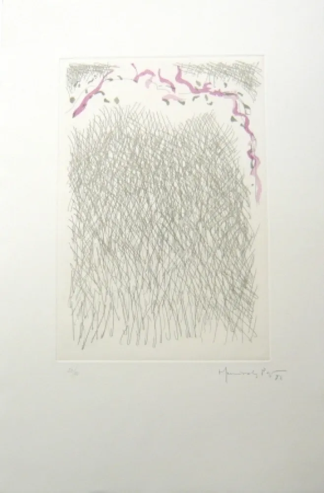 Гравюра Hernandez Pijuan - PL2