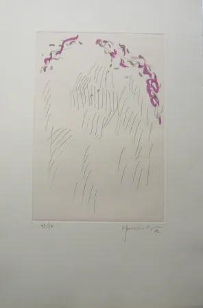 Гравюра Hernandez Pijuan - PL3