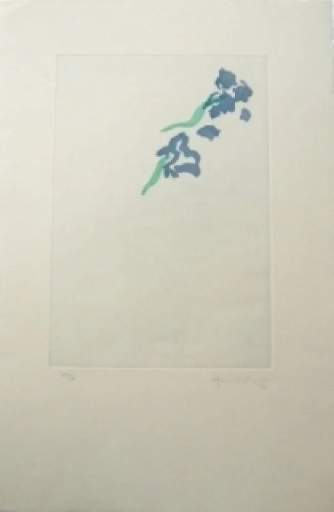 Гравюра Hernandez Pijuan - PL5