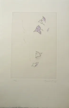 Гравюра Hernandez Pijuan - PL6