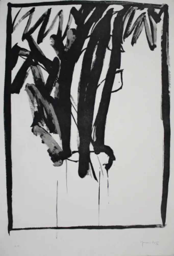 Акватинта Hernandez Pijuan - Planta de saló 2