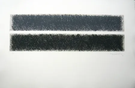 Гравюра Hernandez Pijuan - Polychrome 10