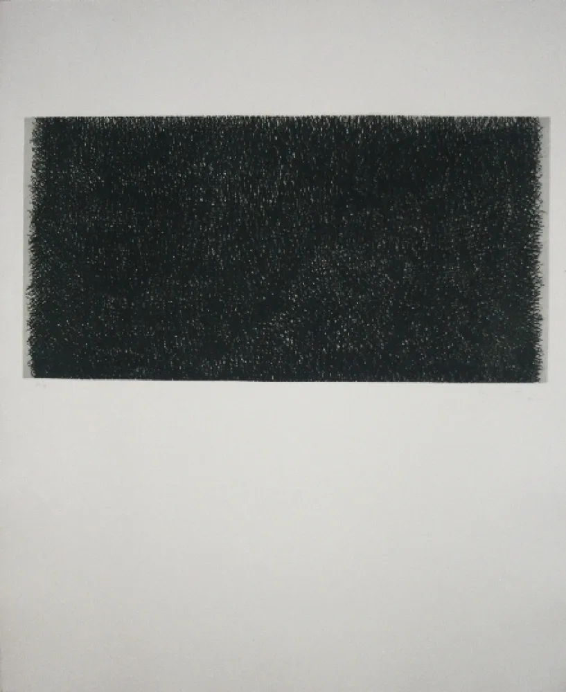 Гравюра Hernandez Pijuan - Polychrome 20