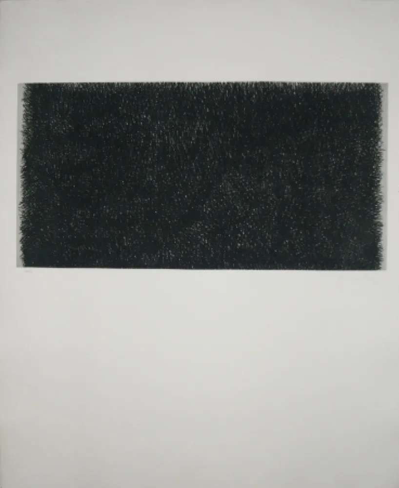 Гравюра Hernandez Pijuan - Polychrome 20