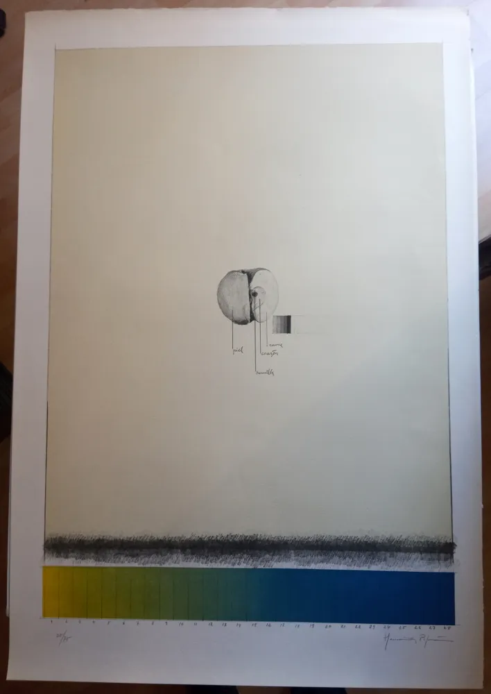 Литография Hernandez Pijuan - Poma