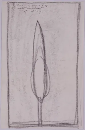 Нет Никаких Технических Hernandez Pijuan - Untitled