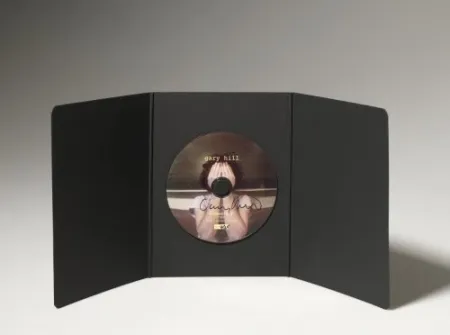 Многоэкземплярное Произведение Hill - Commentary