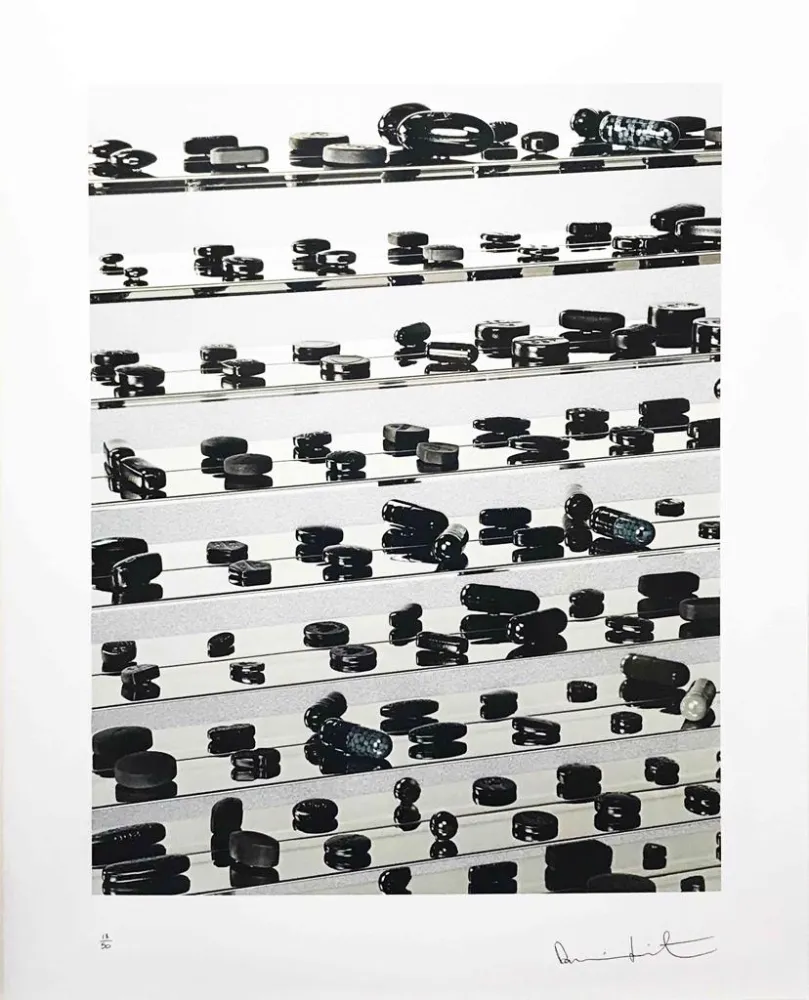 Нет Никаких Технических Hirst - Black Brilliant Utopia