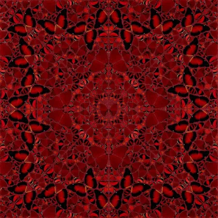 Сериграфия Hirst - H10-2 Nūr Jahān