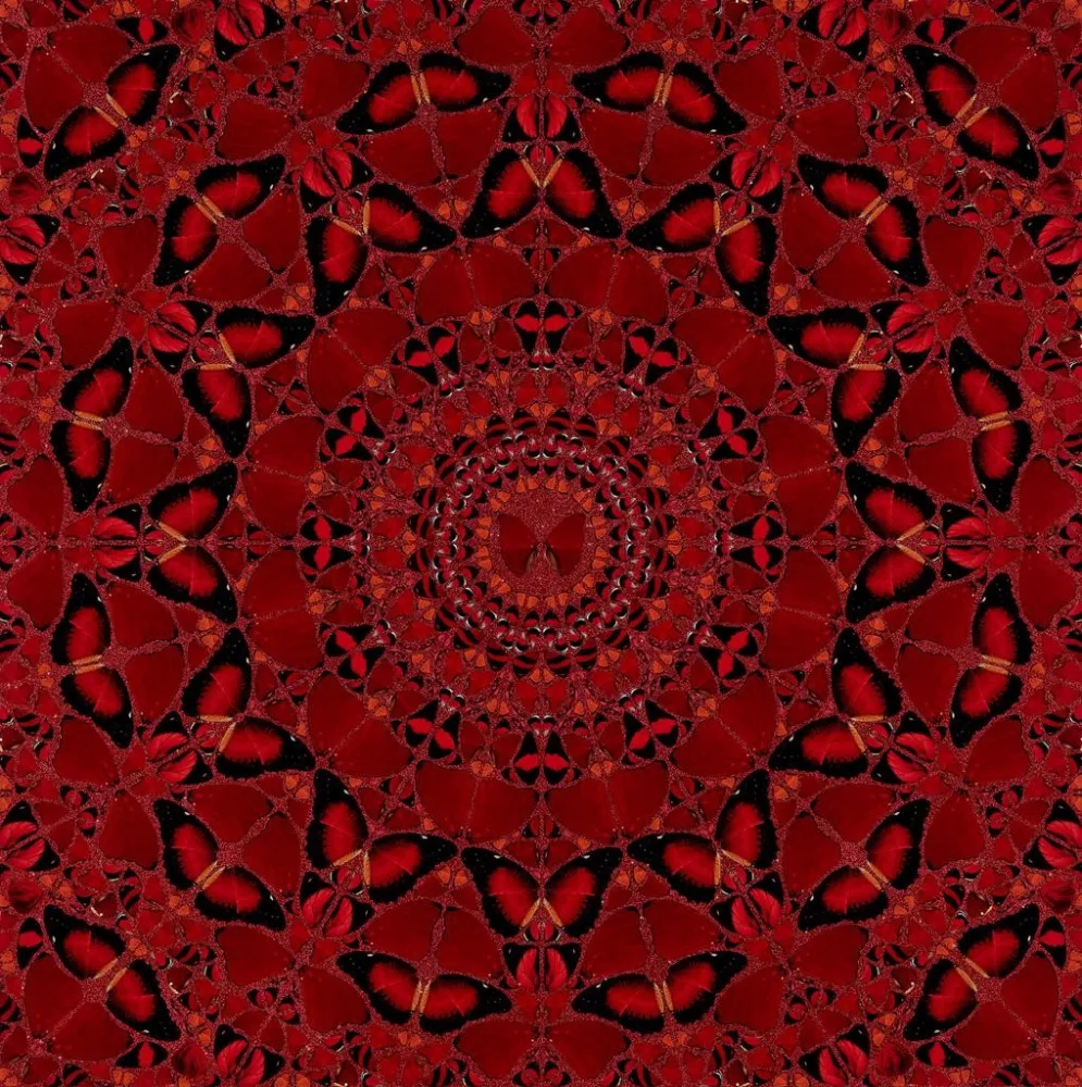 Сериграфия Hirst - H10-4 Suiko