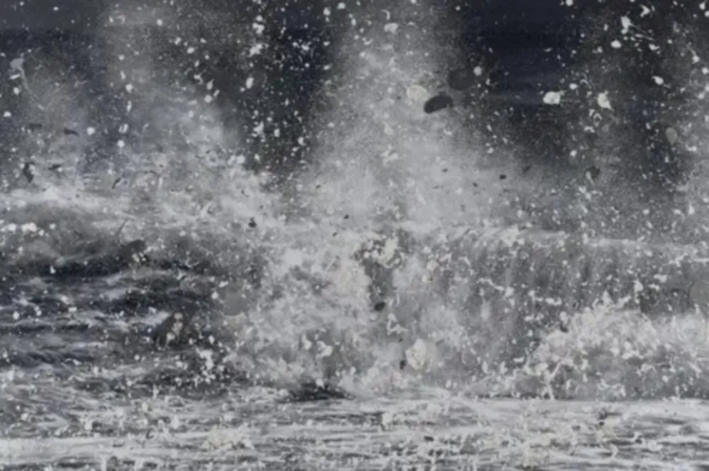 Многоэкземплярное Произведение Hirst - H13-10 Blizzard