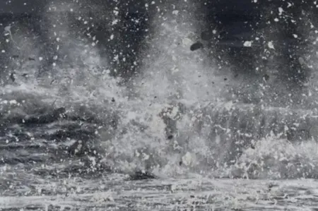 Многоэкземплярное Произведение Hirst - H13-10 Blizzard