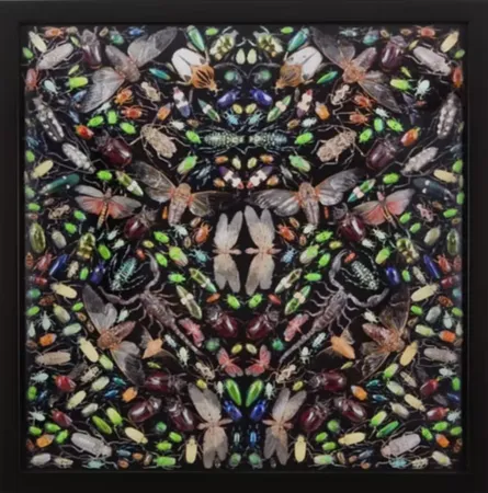 Многоэкземплярное Произведение Hirst - Inferno