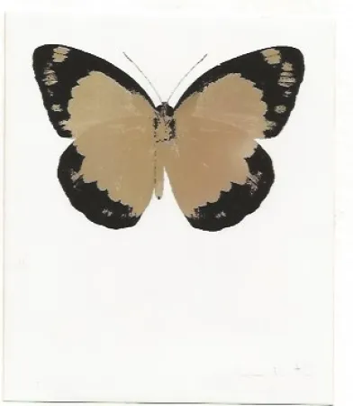 Нет Никаких Технических Hirst - Long Life Purple African Gold Imperial Purple Skull