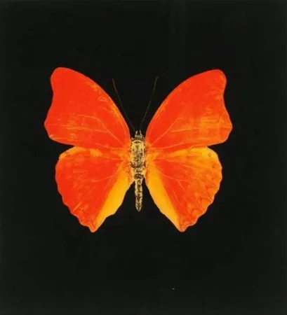 Многоэкземплярное Произведение Hirst - Memento 3