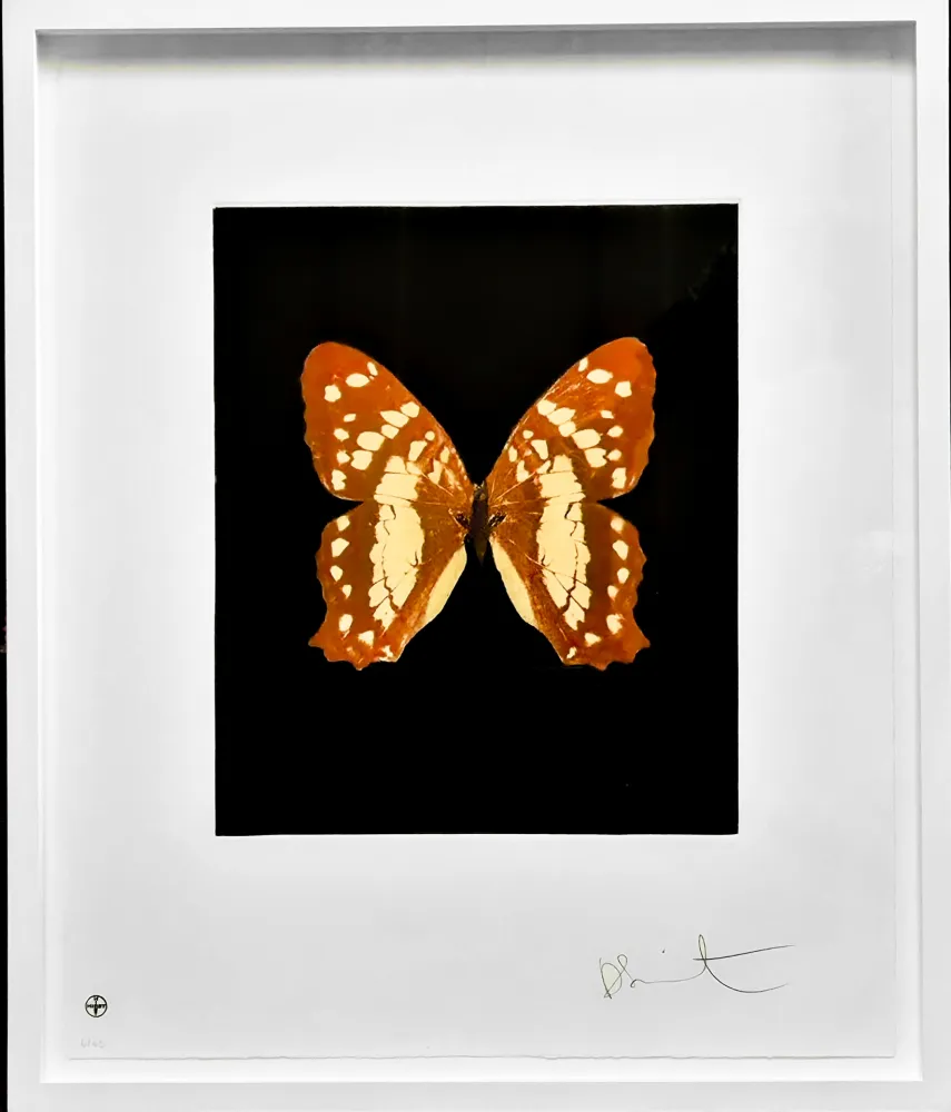 Офорт И Аквитанта Hirst - Regeneration - from the Butterflies portfolio, 2009 