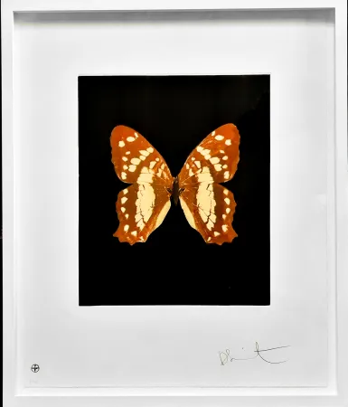 Офорт И Аквитанта Hirst - Regeneration - from the Butterflies portfolio, 2009 
