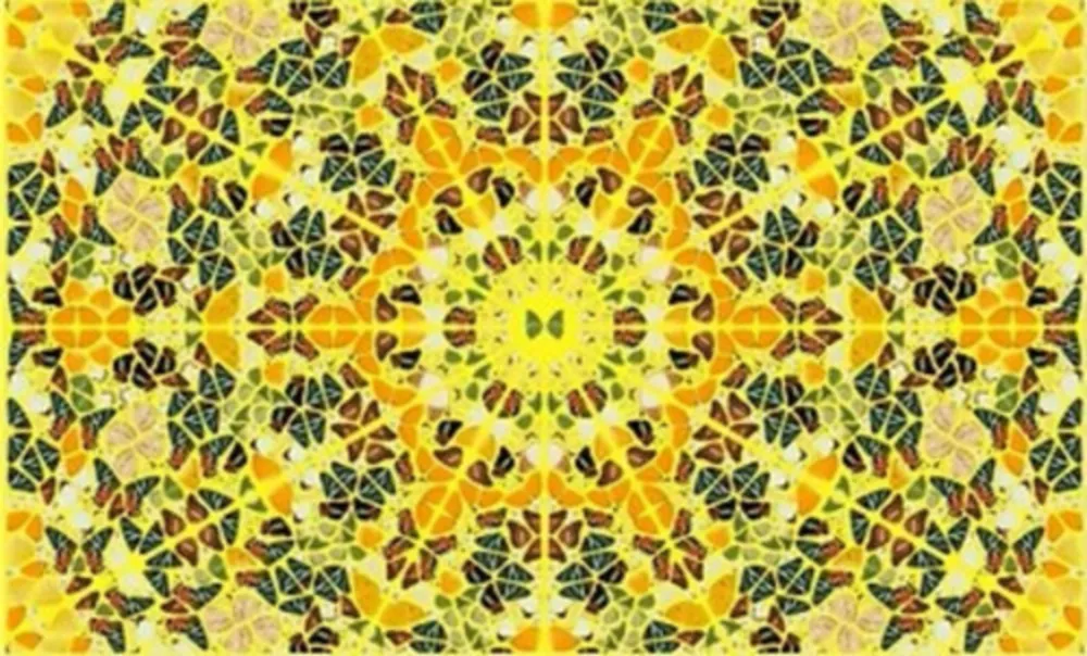 Многоэкземплярное Произведение Hirst - Splendour from the Kaleidoscopes, H18-4