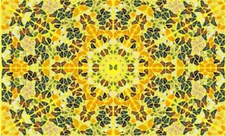 Многоэкземплярное Произведение Hirst - Splendour from the Kaleidoscopes, H18-4