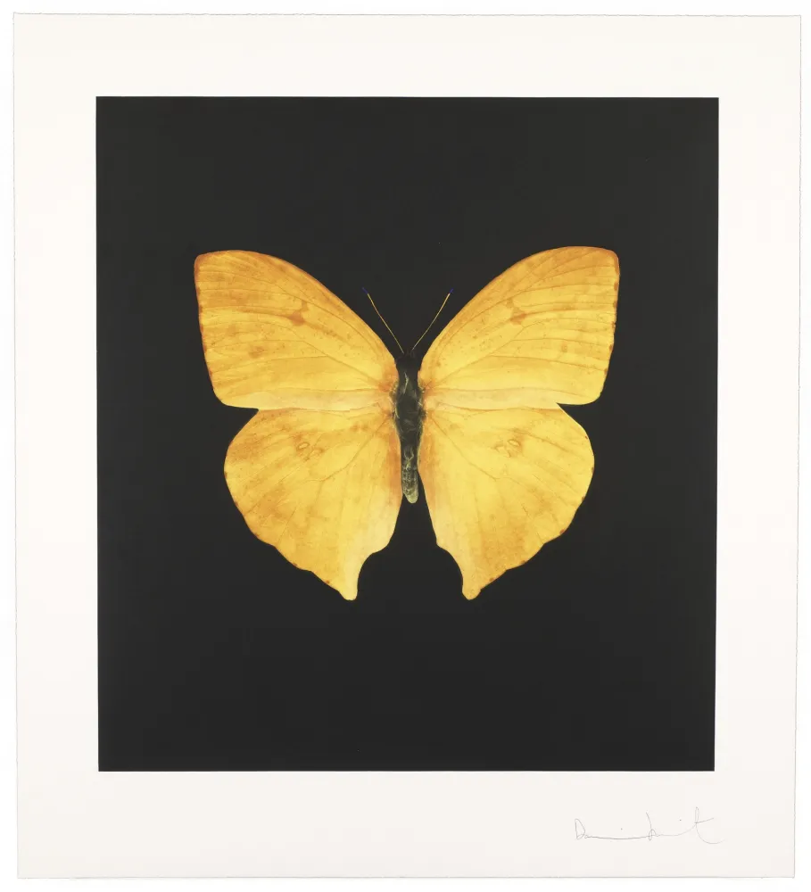 Гравюра Hirst - The Souls On Jacob’s Ladder Take Their Flight I