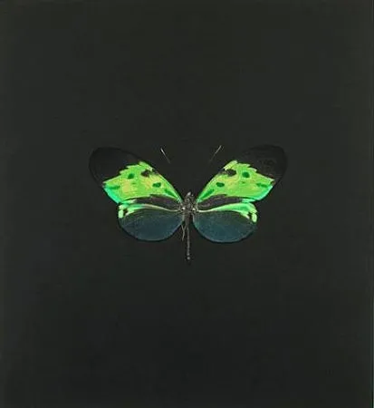 Офорт Hirst - The Souls on Jacob's Ladder Take Their Flight (Small Green)