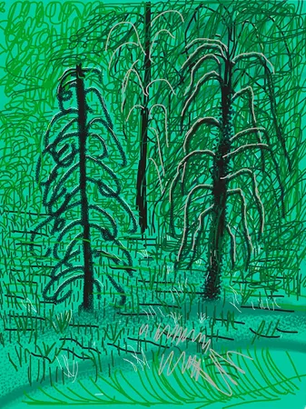 Цифровой Эстамп Hockney - Yosemite No.16