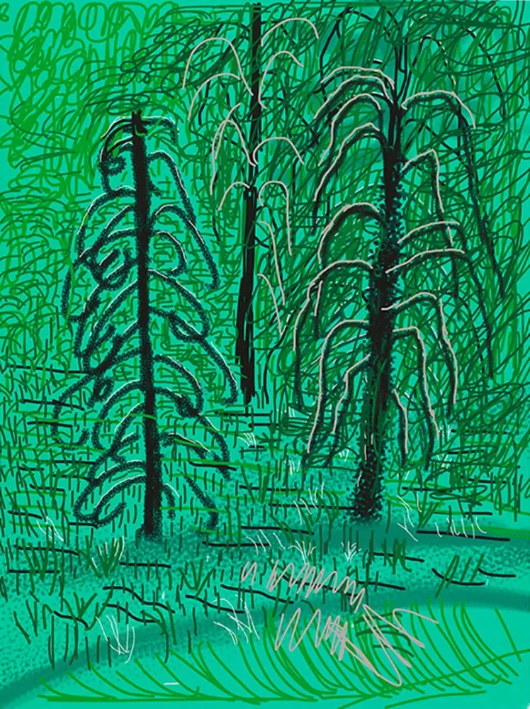 Многоэкземплярное Произведение Hockney - Yosemite No.16