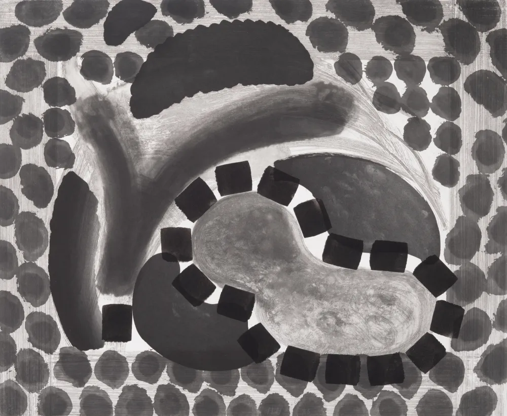 Многоэкземплярное Произведение Hodgkin - David's Pool at Night