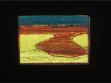 Сериграфия Hodgkin - Indian Views Suite – Plate L 