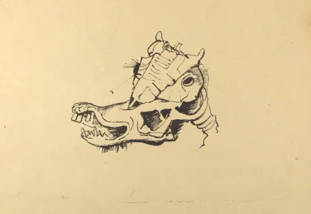 Литография Hofer - Pferdeschädel / Horse Skull