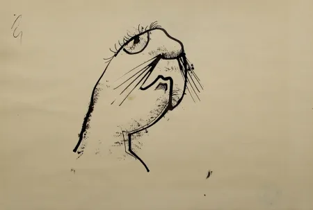 Нет Никаких Технических Hofer - Robbe (Seal)